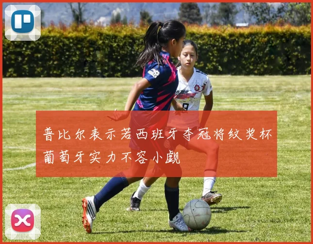 普比尔表示若西班牙夺冠将纹奖杯葡萄牙实力不容小觑